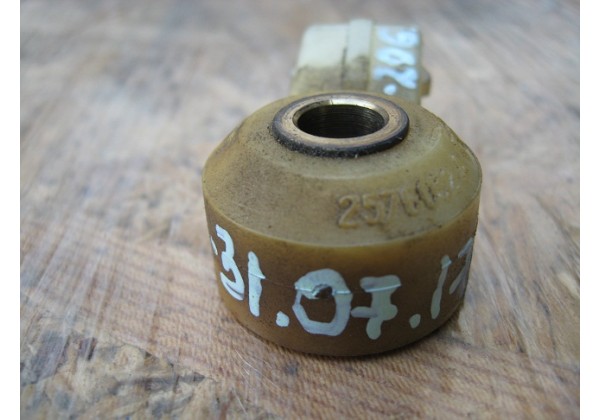 датчик детонації Citroen, Peugeot, SAGEM 2576032A,  594623